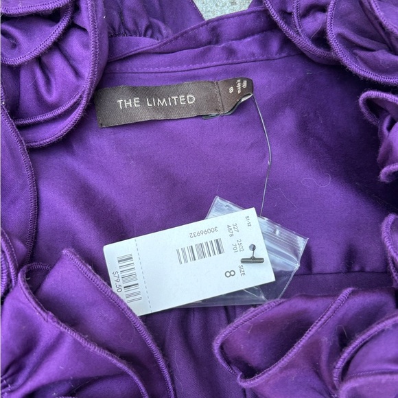 The Limited Rich Purple Ruffle Dress - Picture 2 of 4